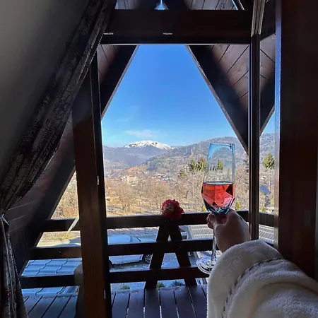 Holiday home A Borsa (Maramures)